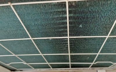 Cleaning Outdoor Condenser in Simei
